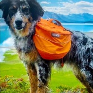 RUFFWEAR APPROACH DOG PACK ORANGE & GRAY SIZE XS 17-22”